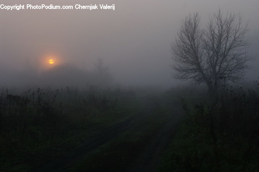 Fog, Mist, Outdoors