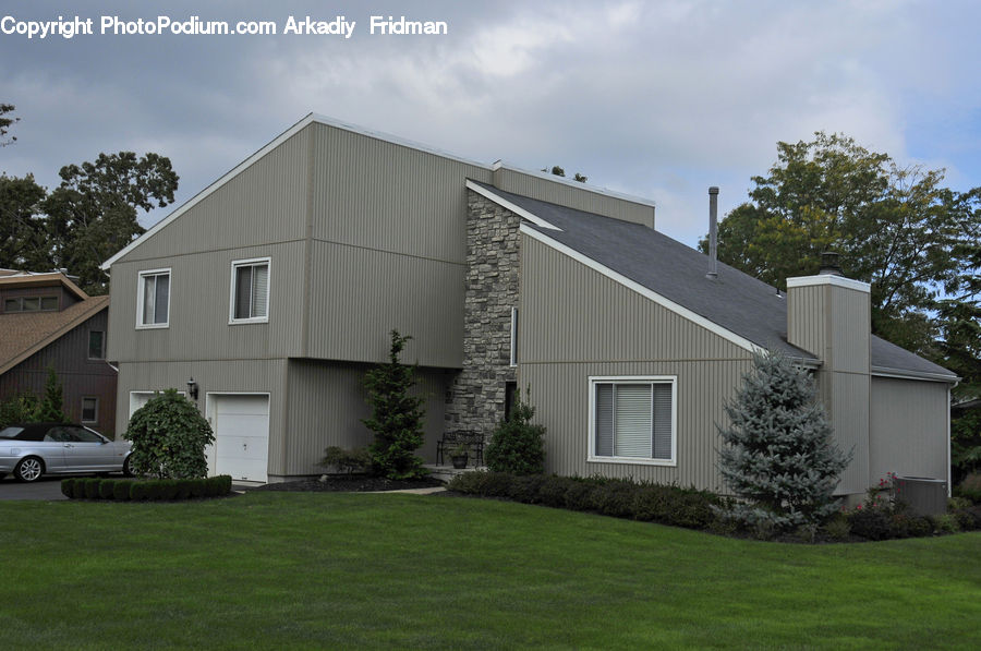 Building, Cottage, Housing, Yard, Conifer, Fir, Pine
