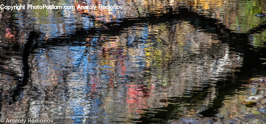 Outdoors, Ripple, Water, Pond, Land, Marsh, Swamp