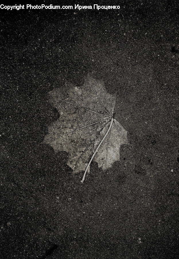 Asphalt, Tarmac, Astronomy, Nebula, Outer Space, Space, Universe