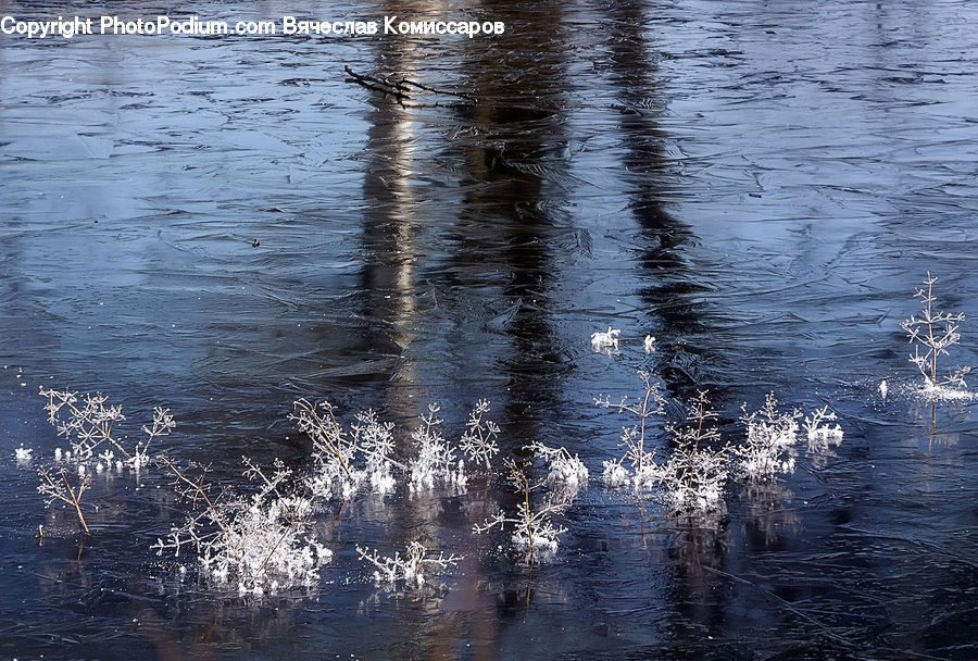 Outdoors, Ripple, Water