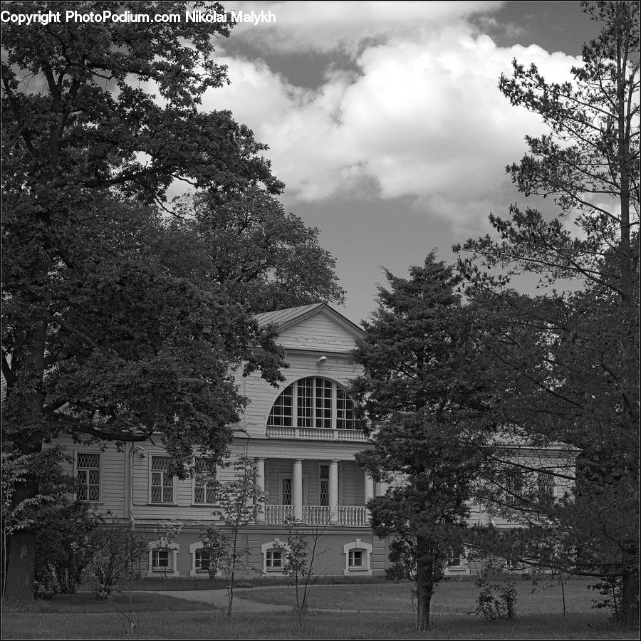 Building, Housing, Villa, Plant, Tree, Yard, Oak