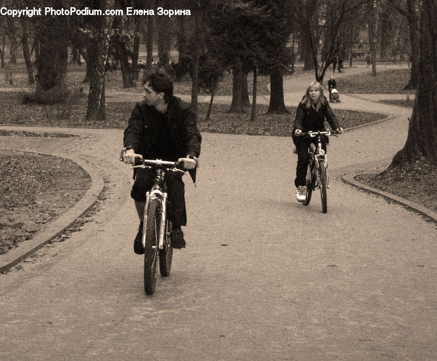 People, Person, Human, Bicycle, Bike, Vehicle, Tricycle