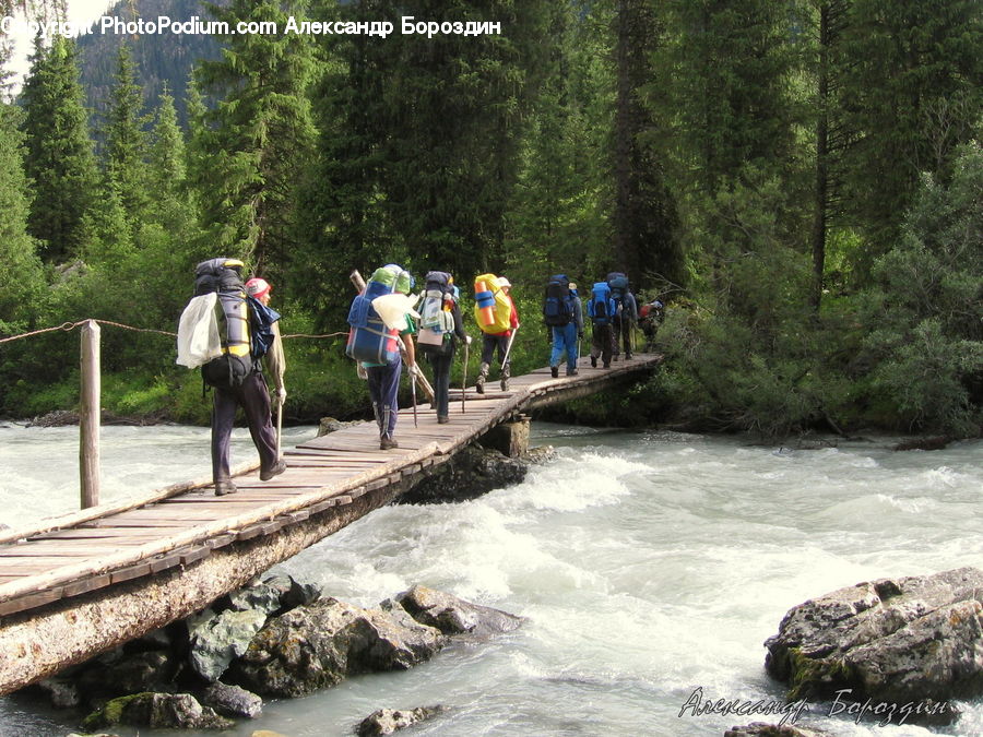 People, Person, Human, Leisure Activities, Walking, Creek, Outdoors