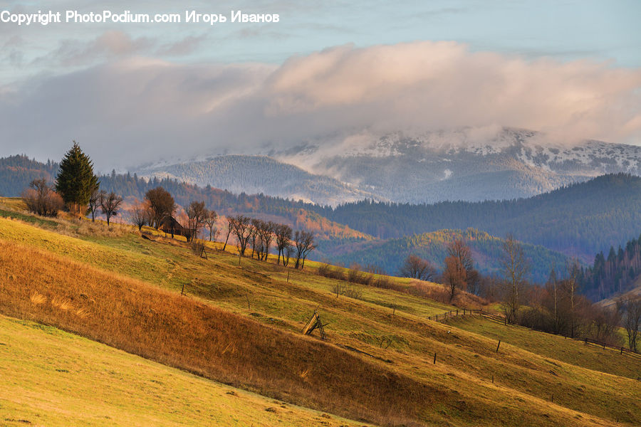 Field, Grass, Grassland, Land, Outdoors, Mountain, Mountain Range