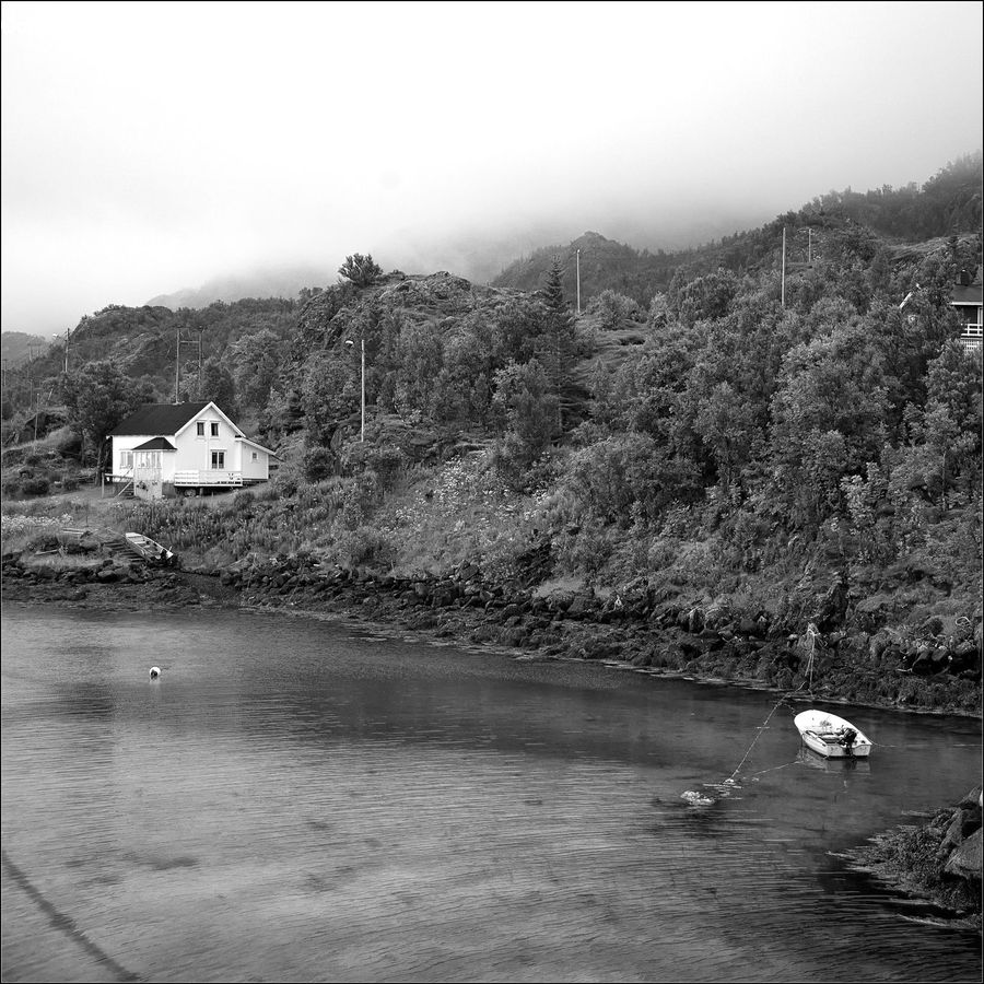 Coast, Cove, Outdoors, Sea, Water, Countryside, Forest