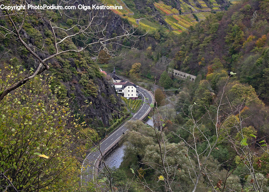 Landslide, Aerial View, Forest, Jungle, Rainforest, Vegetation, Architecture