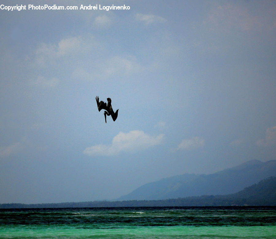 Adventure, Flight, Gliding, Outdoors, Sea, Water, Landscape