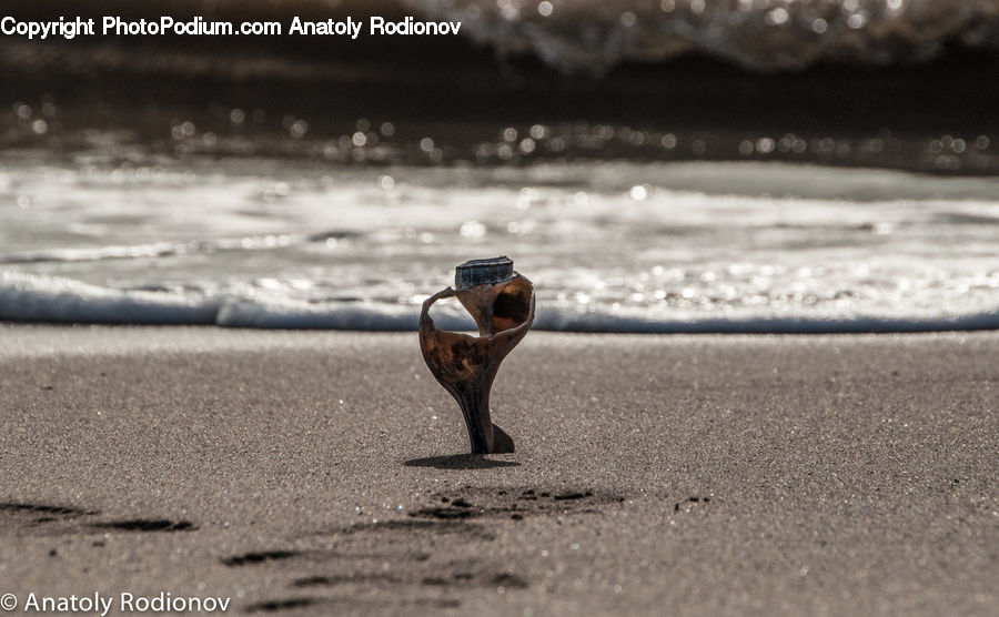 People, Person, Human, Rust, Beach, Coast, Outdoors
