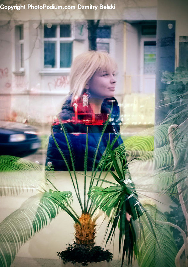 Blonde, Female, Person, Woman, People, Human, Automobile