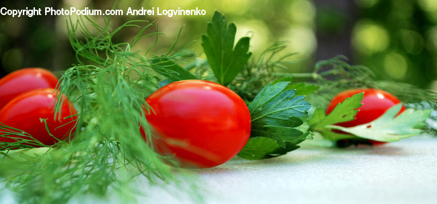 Produce, Vegetable, Pepper, Leaf, Plant, Market, Candy