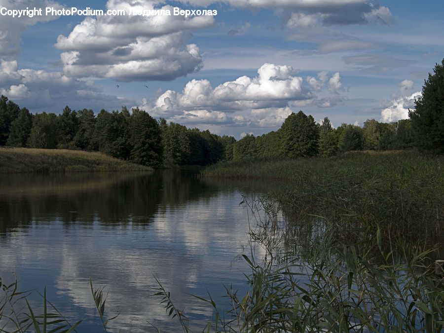 Lake, Outdoors, Water, Cloud, Cumulus, Sky, Grass