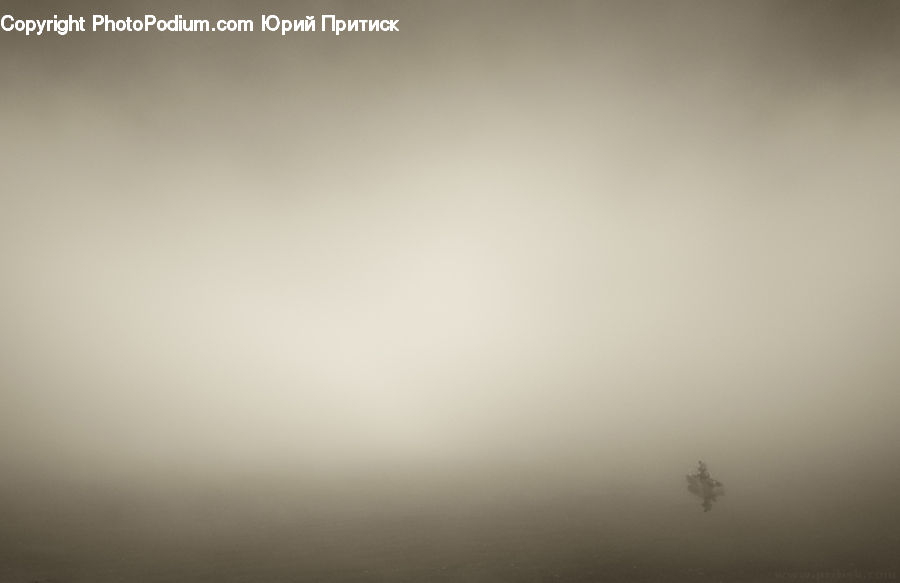 Fog, Mist, Outdoors