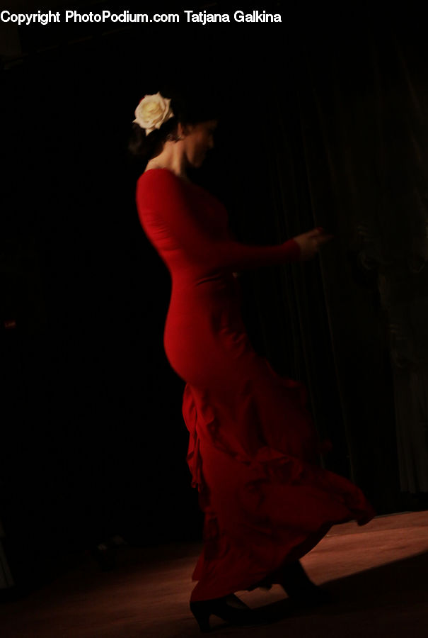 Dance, Dance Pose, Flamenco, Music, Performer, Human, People