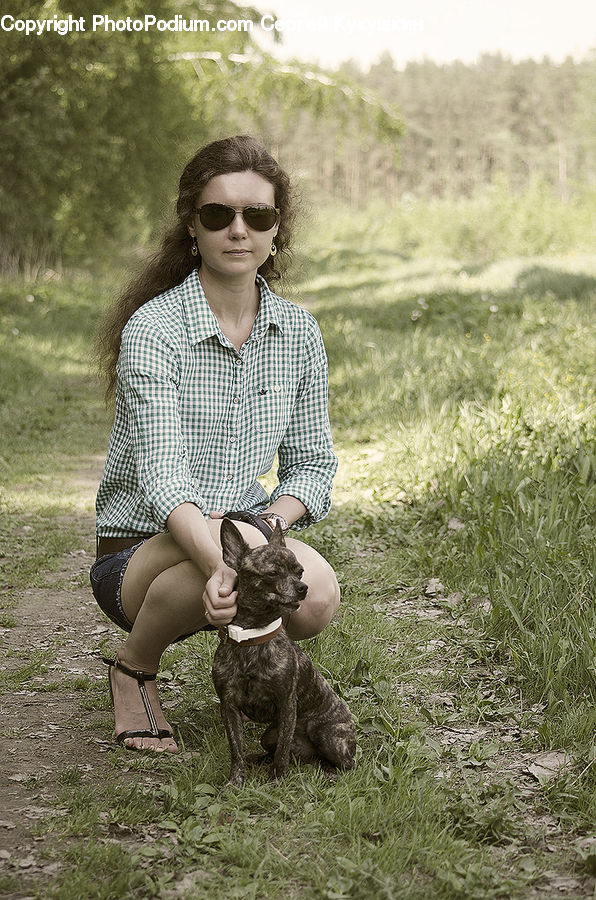Human, People, Person, Animal, Bulldog, Canine, Dog