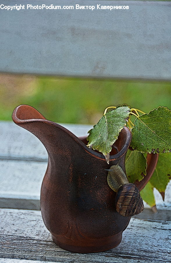 Flower Arrangement, Ikebana, Plant, Potted Plant, Vase, Jug, Pitcher