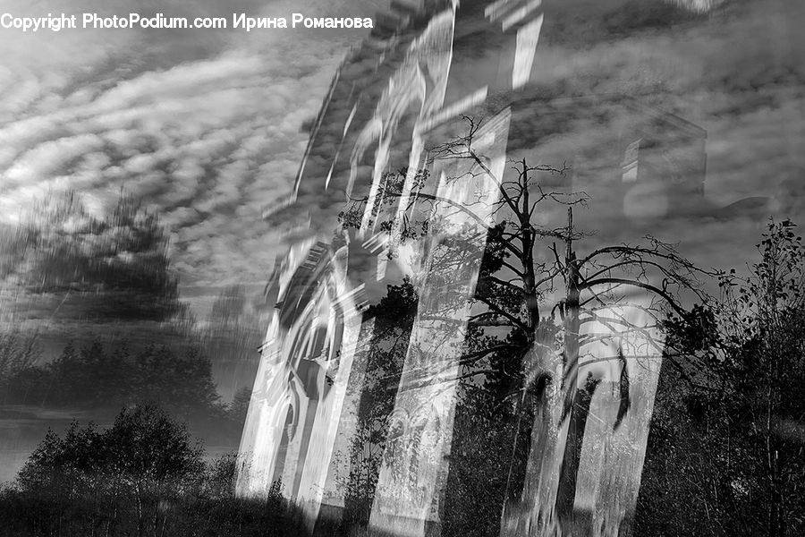 Architecture, Cathedral, Church, Worship, Plant, Tree, City