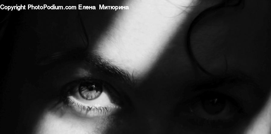 Person, Portrait, Selfie, Head, Face, Female