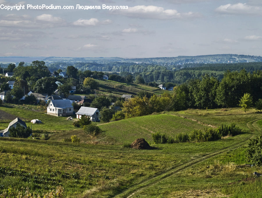 Field, Grass, Grassland, Land, Outdoors, Countryside, Meadow