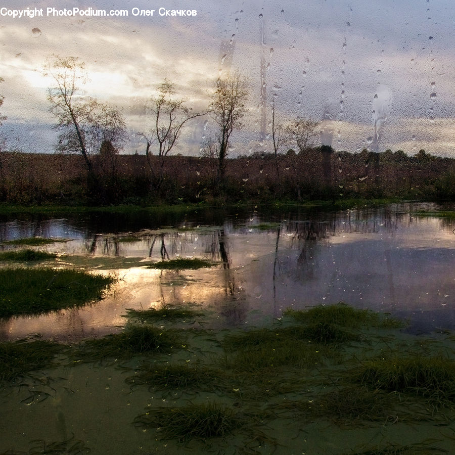 Outdoors, Pond, Water, Land, Marsh, Swamp