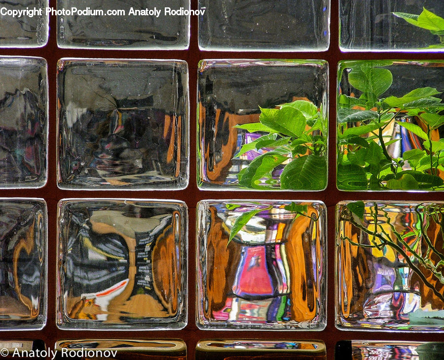 Plant, Potted Plant, Art, Painting, Herbs, Mint, Herbal