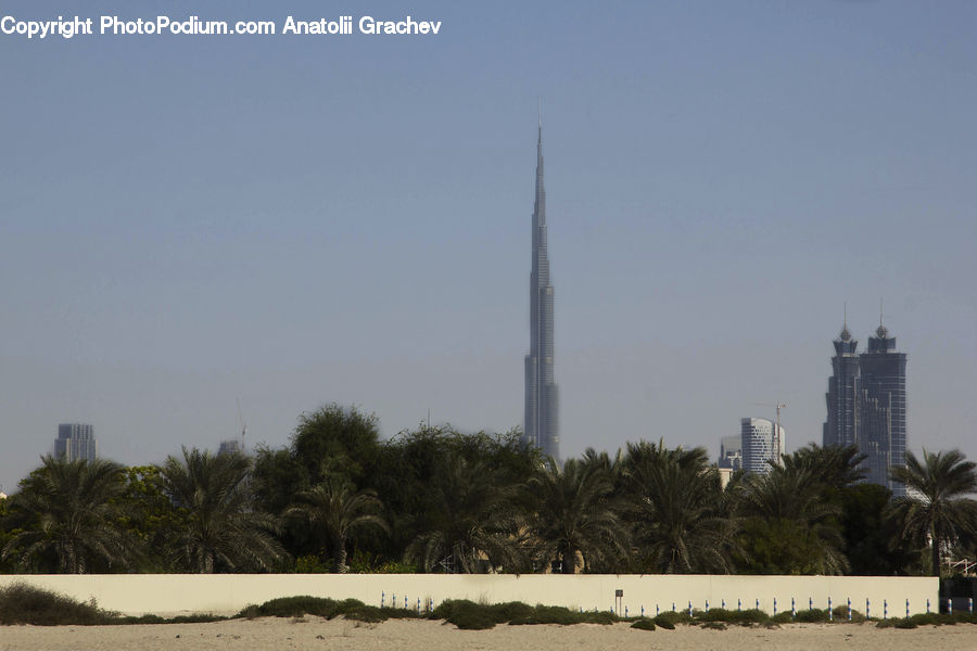 Architecture, City, Downtown, High Rise, Skyscraper, Building, Hotel