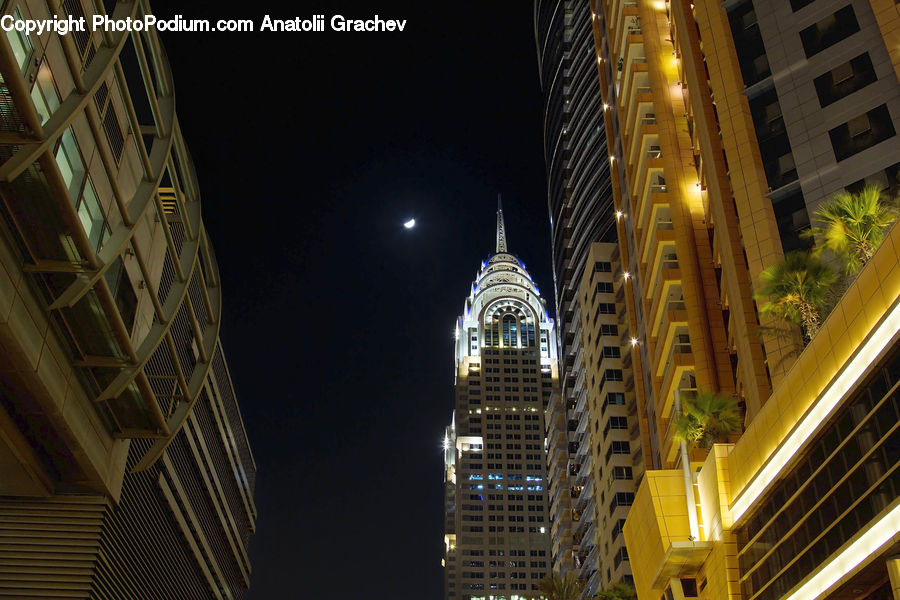 Plant, Potted Plant, Architecture, City, Downtown, High Rise, Skyscraper