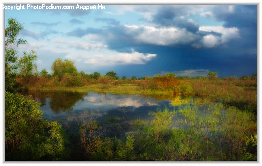 Field, Grass, Grassland, Land, Outdoors, Cloud, Cumulus