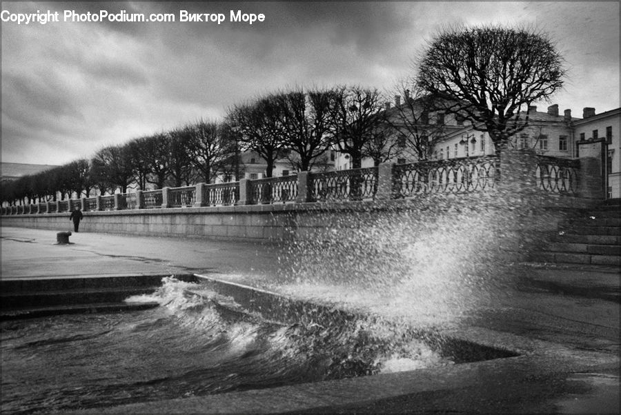 Water, Plant, Tree, Building, Downtown, Town