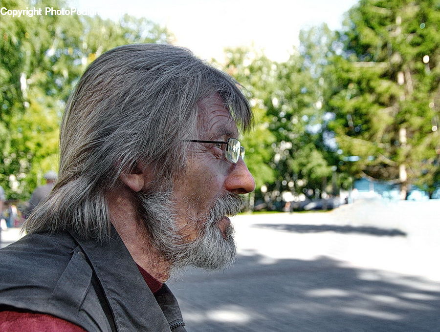 People, Person, Human, Algae, Beard, Hair, Conifer