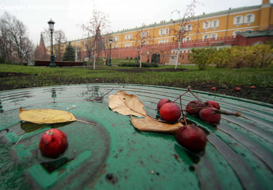 Fruit, Cherry, Architecture, Court, Building, Housing, Villa