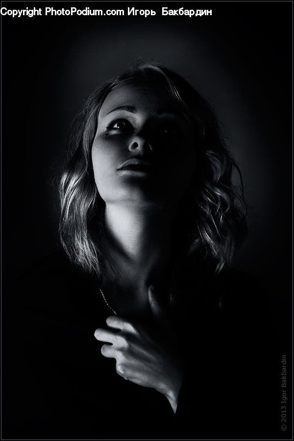 Human, People, Person, Portrait, Female, Face