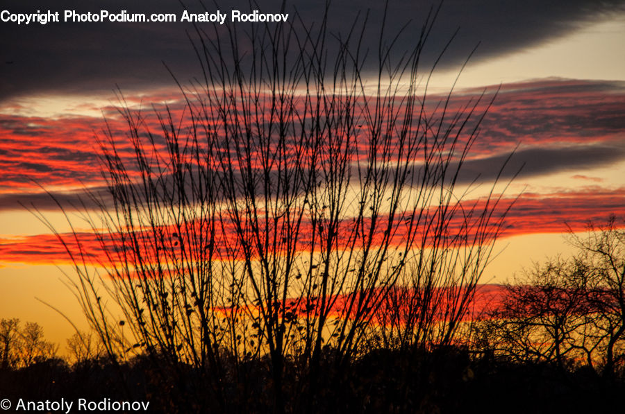 Dusk, Outdoors, Sky, Sunlight, Sunrise, Sunset, Dawn