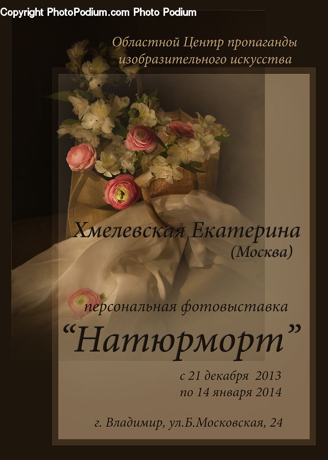 Brochure, Flyer, Poster, Plant, Potted Plant, Diploma, Text