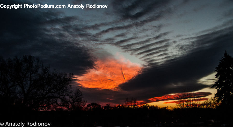Dawn, Dusk, Red Sky, Sky, Sunrise, Sunset, Conifer