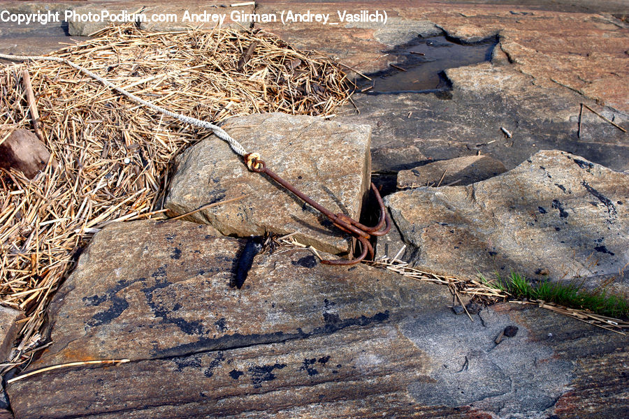 Rust, Ground, Soil, Rattlesnake, Reptile, Snake, Rubble