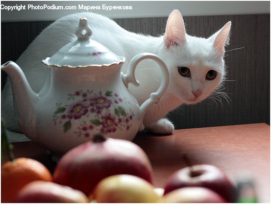 Art, Porcelain, Pottery, Saucer