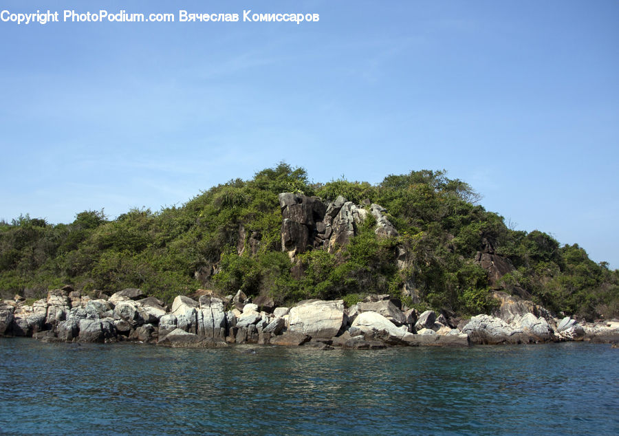 Coast, Island, Land, Sea, Outdoors, Water, Bird