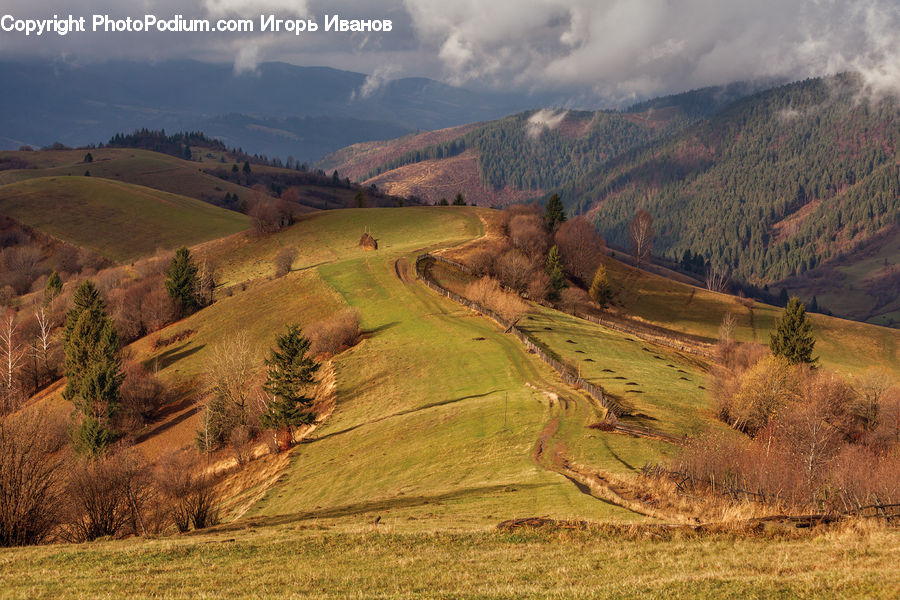 Field, Grass, Grassland, Land, Outdoors, Countryside, Hill