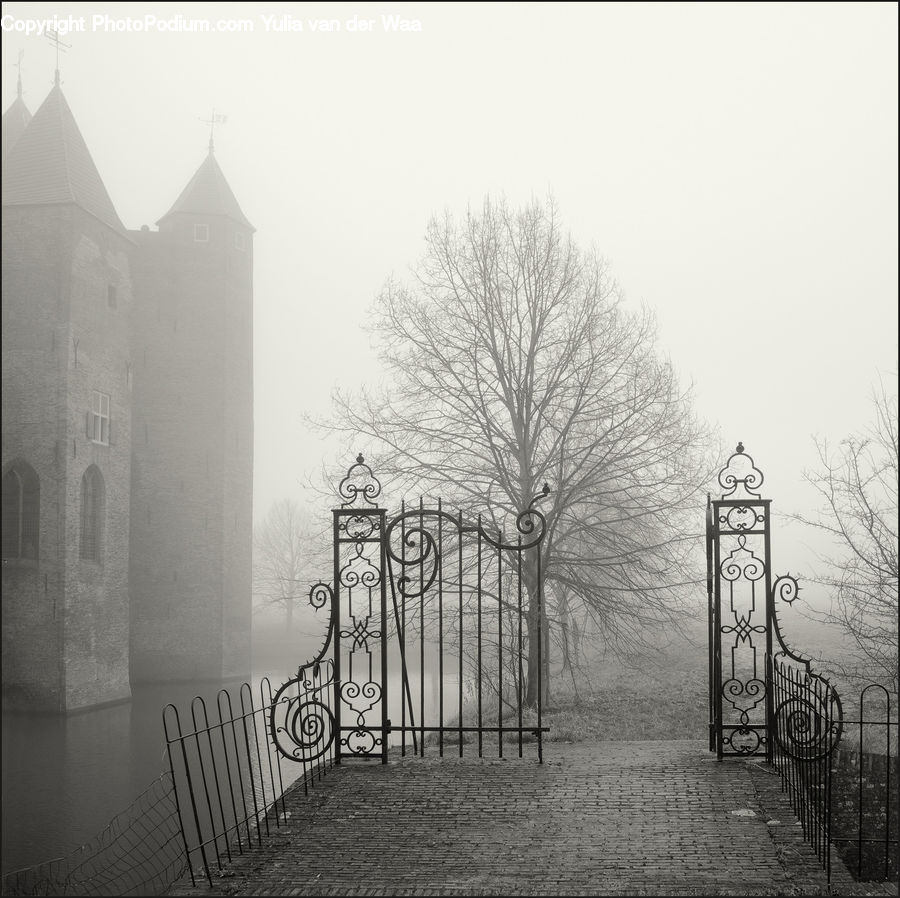 Fog, Road, City, Downtown, Urban, Path, Trail