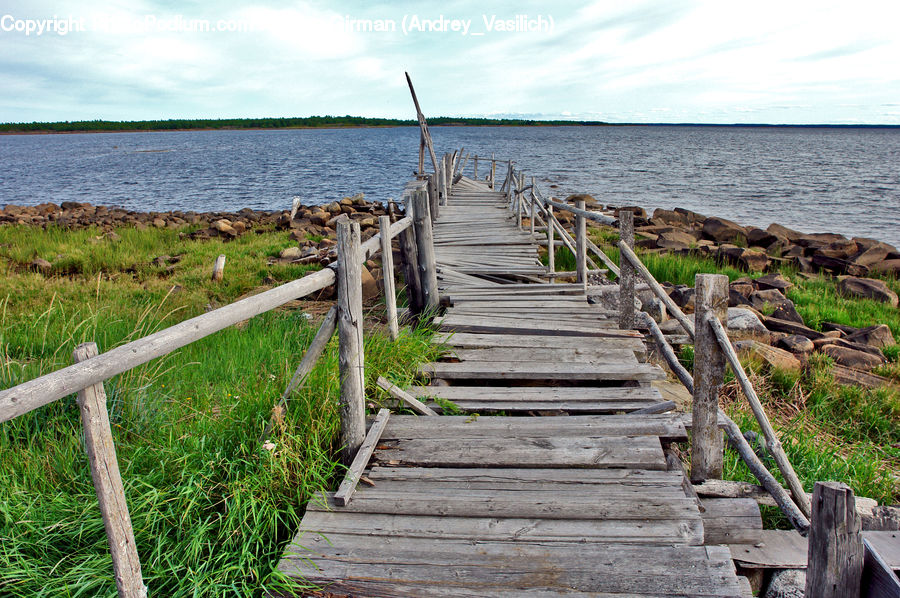 Tree Stump, Boardwalk, Deck, Path, Sidewalk, Walkway, Dock