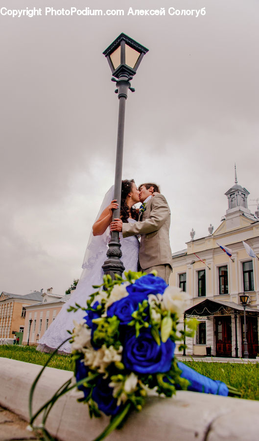 People, Person, Human, Lamp Post, Pole, Floral Design, Plant