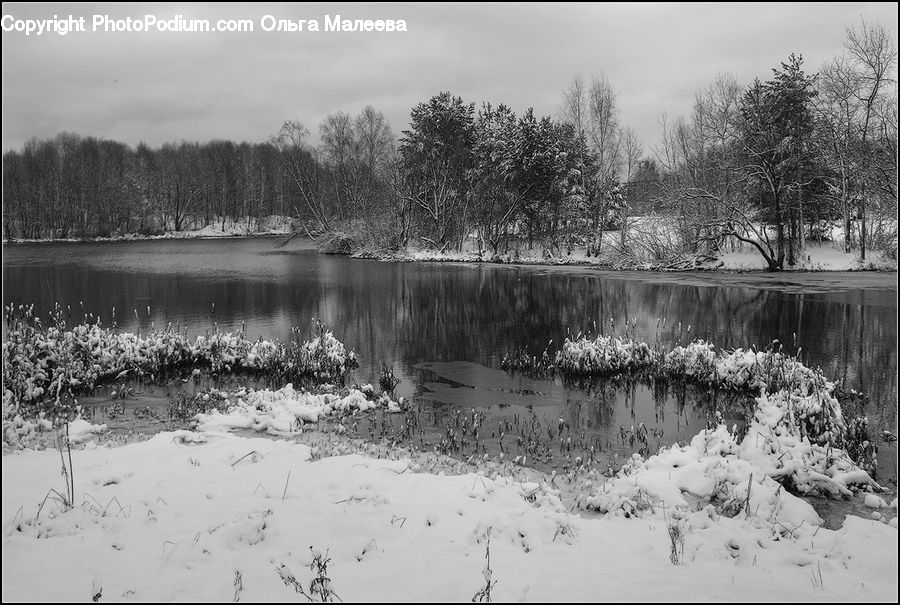 Ice, Outdoors, Snow, Pond, Water, Plant, Tree