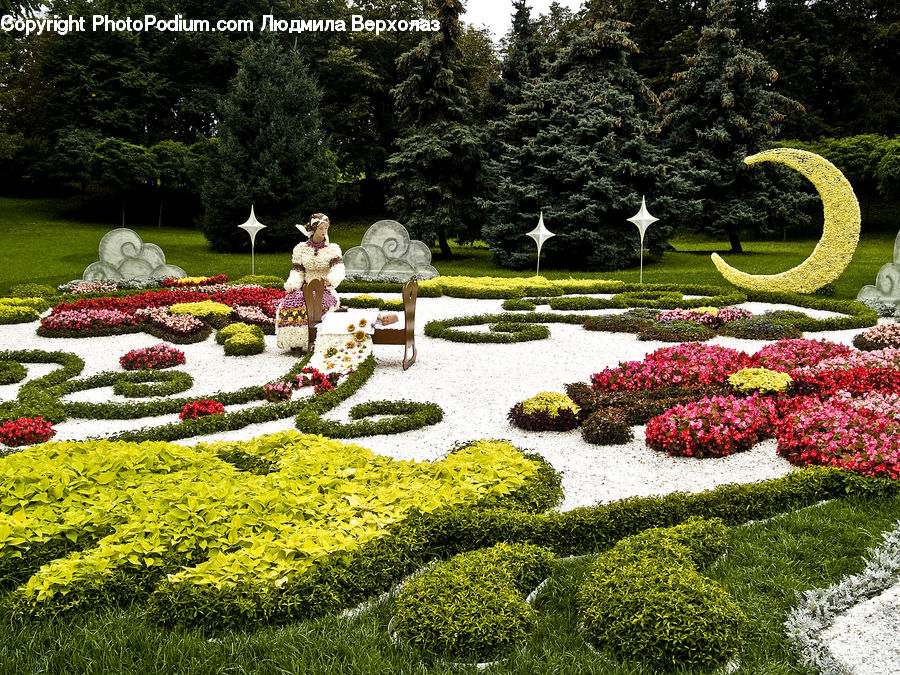 Garden, Bush, Plant, Vegetation, Field, Grass, Lawn