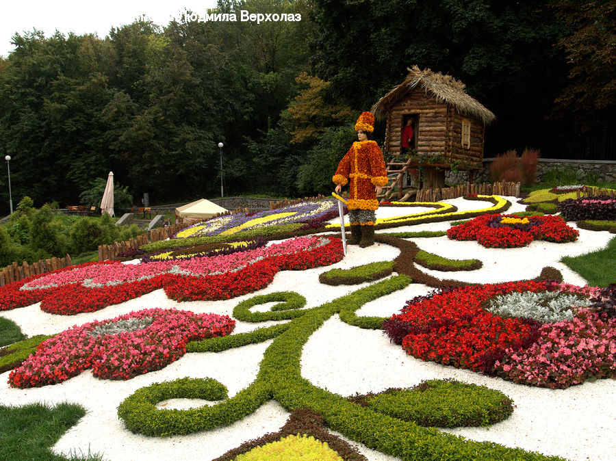 Blossom, Flora, Flower, Plant, Tulip, Garden, Bush