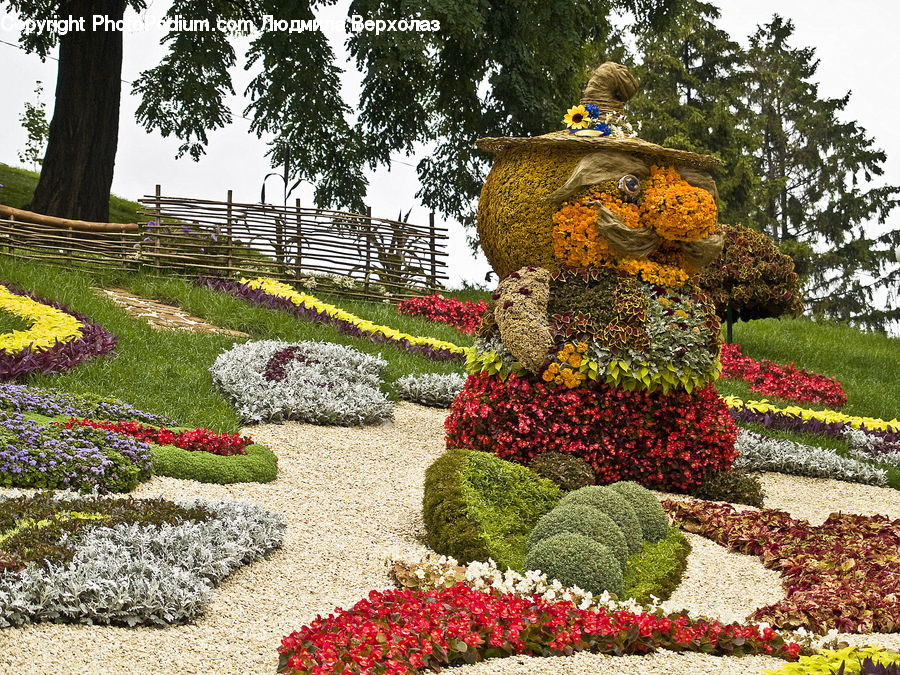Bush, Plant, Vegetation, Garden, Park, Blossom, Flora