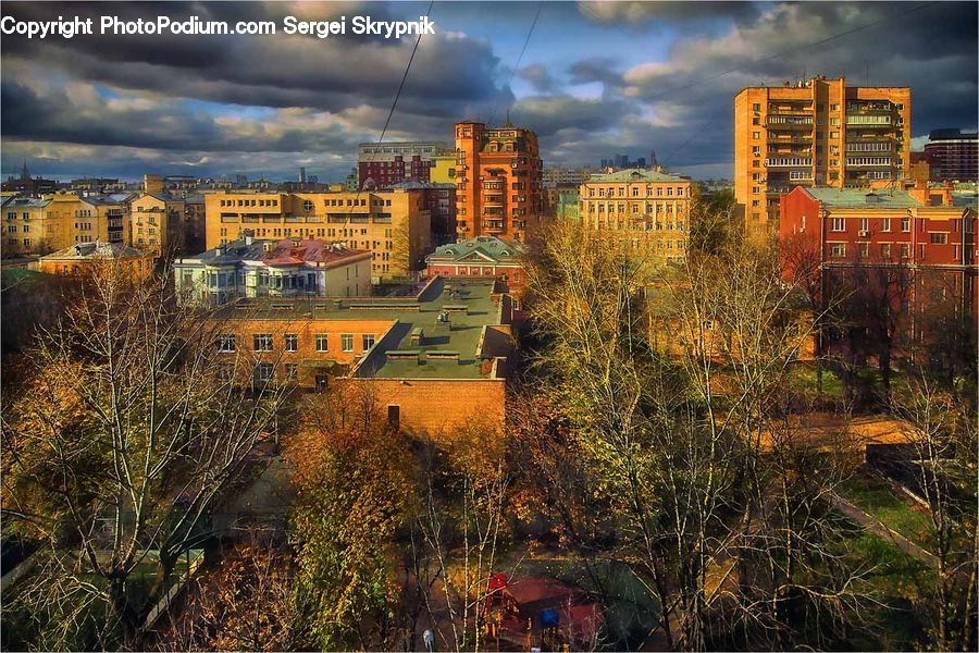 Forest, Grove, Land, City, Downtown, Metropolis, Urban