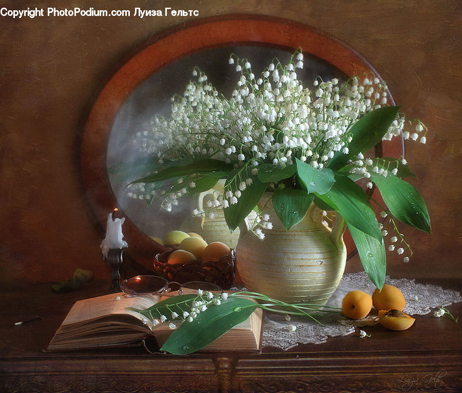 Plant, Potted Plant, Glass, Goblet, Floral Design, Flower, Flower Arrangement