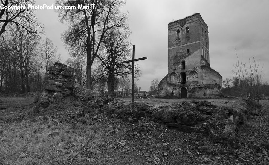 Architecture, Castle, Fort, Forest, Grove, Land, Soil
