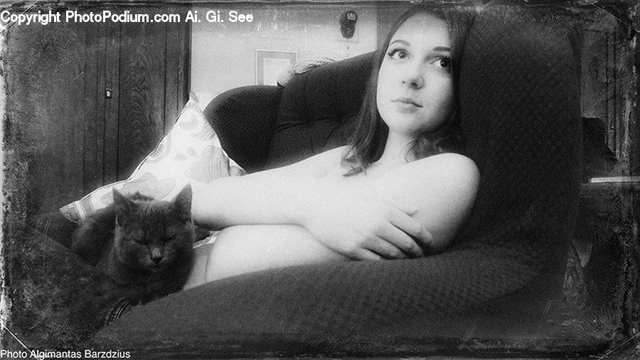 People, Person, Human, Abyssinian, Animal, Cat, Mammal